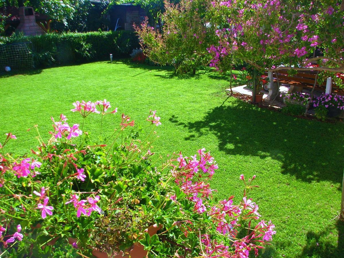 Apartments Sandra بوريتش المظهر الخارجي الصورة